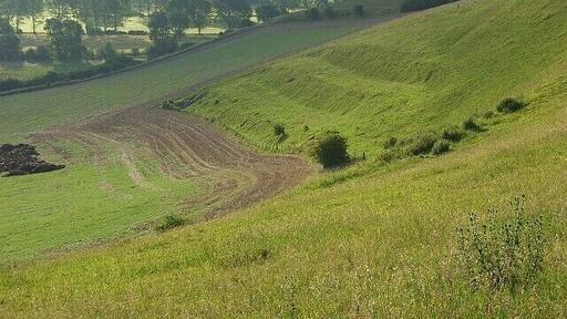 Downland, Great Wishford. The northern flank of Ebsbury Hill with strip lynchets. The trees below are on the Wylye floodplain, between the two channels of the river.