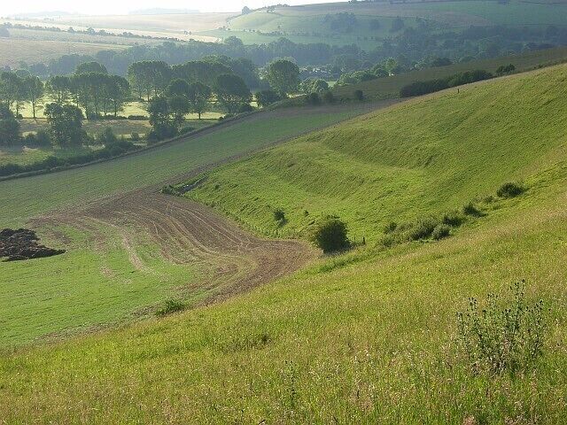 Rolling green hills, a dirt path, and scattered trees.