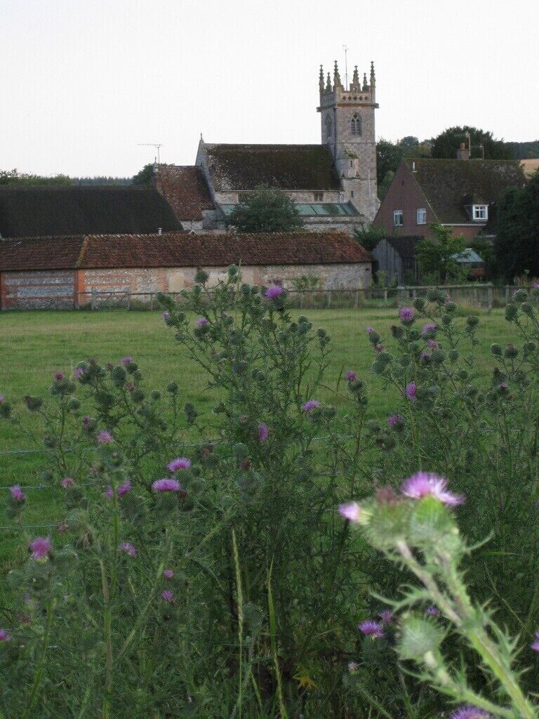 A rural landscape with a church tower, a field of purple flowers, and traditional houses.