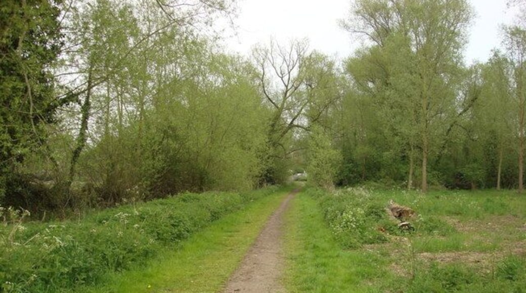 Footpath, Cornard Riverside Walk