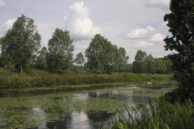 River Stour at Baker's Mill Looking upstream from the new housing development at Baker's Mill, Great Cornard.