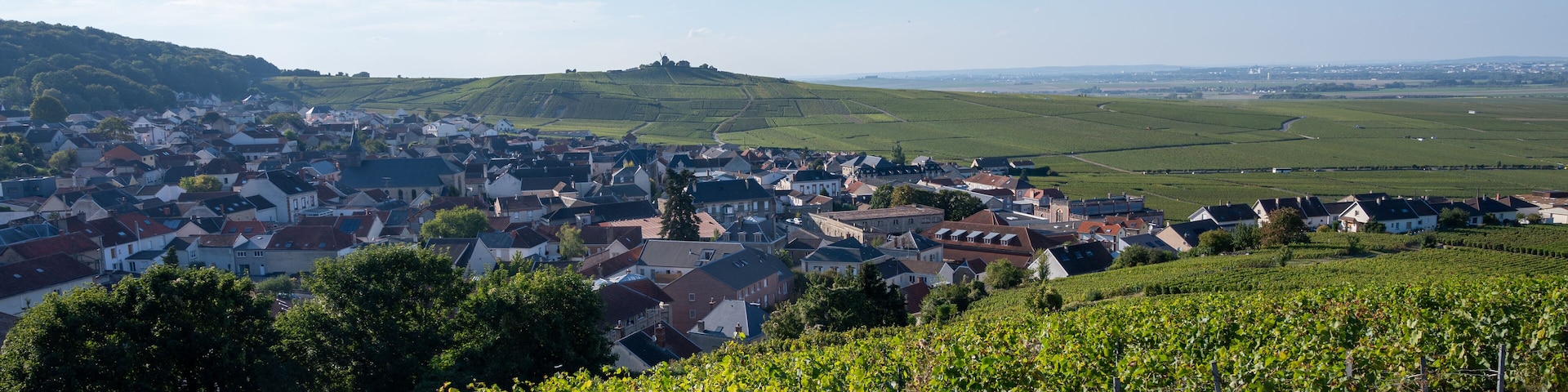 A town nestled in a valley with vineyards in the foreground.