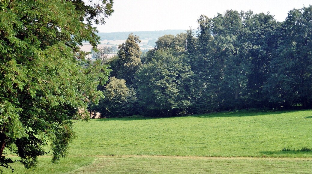 Hohenzieritz, the park