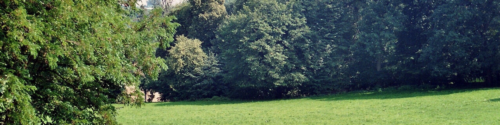 Hohenzieritz, the park