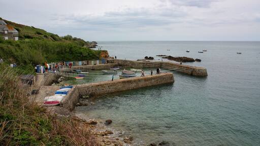 The smallest port in France .