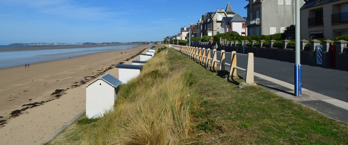 A beach with houses along the shore, a clear blue sky, and a lamp post.