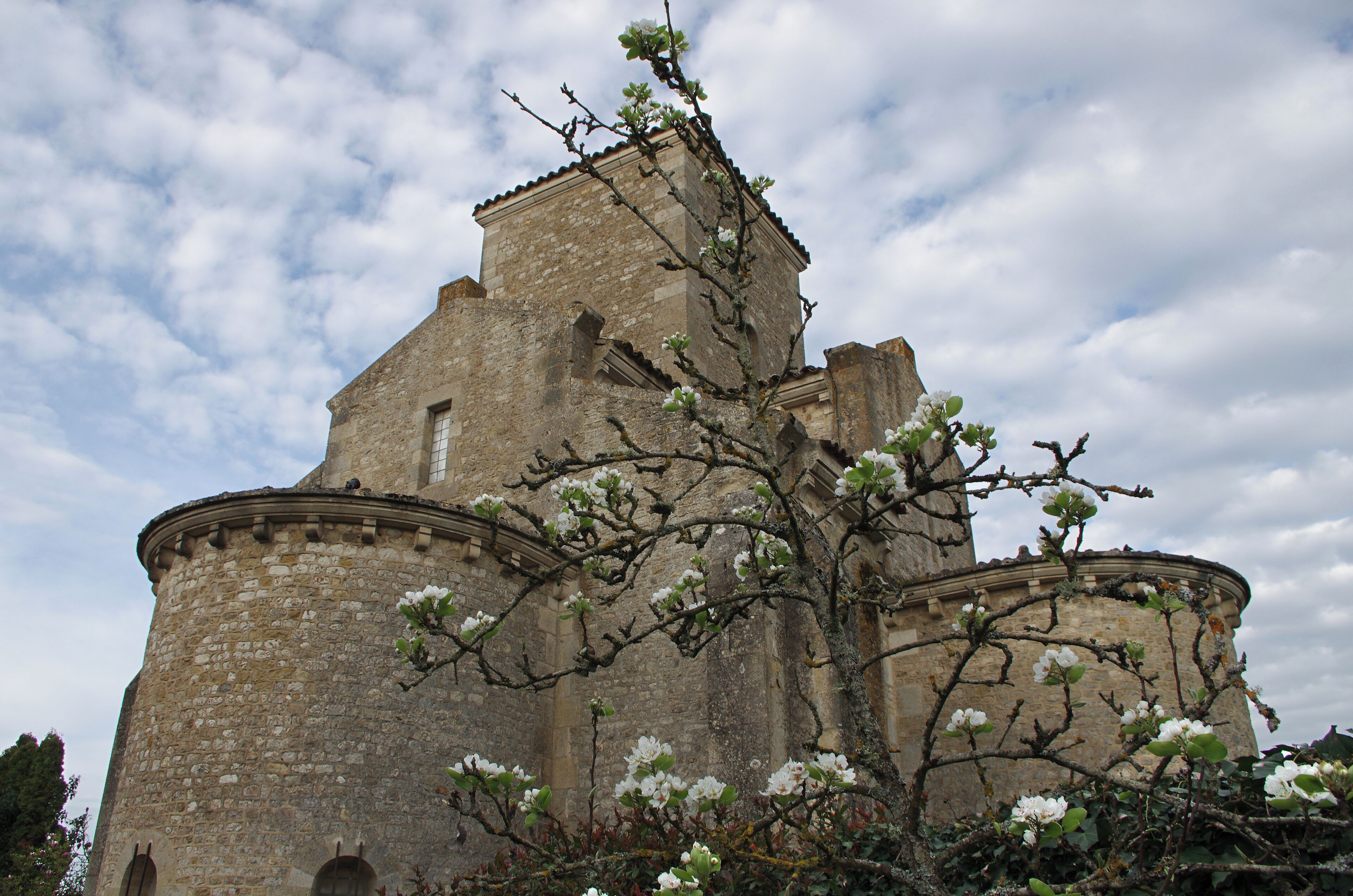 Oratoire carolingien ou église de la Très-Sainte-Trinité. Carolingian oratory of Germigny-des-Prés. The Basilica was built, to 806, on the model of the Oratory of Aix-la-Chapelle palace by Theodulf Bishop of Orleans and abbot of Fleury-sur-Loire. This building is designed by an architectural monuments Mozarabic Languedoc and Spain. The bishops will meet in council in 843. Oratory was burned in the ninth century, perhaps by the Normans, who plundered the neighboring monastery of Fleury in 856, 865 and 866. Oratoire carolingien de Germigny-des-Prés. La Basilique fut bâtie, vers 806, sur le modèle de l’Oratoire du Palais d’Aix-la-Chapelle par Théodulfe évêque d’Orléans et Abbé de Fleury-sur-Loire. Ce bâtiment conçu sur plan carré à quatre feuilles est ramassé autour d’une tour lanterne, principe architectural des monuments mozarabes du Languedoc et d’Espagne. En 843, un concile s’y réunit. L’Oratoire fut incendié au IX ème siècle, peut-être par les Normands qui pillèrent le monastère voisin de Fleury en 856, 865 et 866. « En descendant le cours de la Loire, entre Château-neuf et Saint-Benoît, à deux milles seulement du monastère de Fleury, on trouve la petite église de Germigny-des-Prés, bâtie par Théodulfe et conservée en partie jusqu’à nous. Le"village de Germigny, assis dans des prairies qu'arrose la petite rivière de la Simiare, était depuis longtemps un nef de l'abbaye, quand Théodulfe, épris de ce séjour, voulut y bâtir une église qui fit l'admiration de la contrée. Suivant son attrait pour tout ce qui était une renaissance de l’antiquité, l’évêque préféra le style byzantin au style roman, également employé dans les monuments de cette époque. L’église fut donc construite, non pas, comme on l'a cru, sur le modèle de la grande basilique élevée par Cbarlemagne à Aix-la-Chapelle, mais seulement sur le plan de la chapelle intérieure du palais, moins vaste, mais enrichie des marbres et des sculptures enlevées à l’Italie. » (Théodulfe Évêque d’Orléans et Abbé de Fleury-sur-Loire, par l’Abbé Baunard, Chanoine honoraire, Docteur és-lettres et Professeur au Petit Seminaire d’Orléans - 1860) « Théodulfe n’était pas d’origine gauloise ni de la race des Francs. Il descendait de ces Goths conquérants qui, après avoir servi dans les armées romaines, avaient fini par supplanter leurs maîtres, et qui, naguère encore, en Italie et en Espagne, avaient jeté un si grand éclat dans les lettres aussi bien que dans la guerre. C'était la politique de Charlemagne d'attirer dans la Gaule franque les hommes distingués de tous les pays, pour y seconder le développement intellectuel qui devait faire l'honneur de son règne. » (Théodulfe Évêque d’Orléans et Abbé de Fleury-sur-Loire, par l’Abbé Baunard, Chanoine honoraire, Docteur és-lettres et Professeur au Petit Seminaire d’Orléans - 1860) D’éminent « missi dominici » de l’empereur Charlemagne, il tomba en disgrâce et mourut en prison à Angers. Après la mort de Charlemagne, il est impliqué dans la révolte du roi Bernard d'Italie* contre l'empereur Louis le Pieux (817). Il est démis de son évêché et emprisonné en 818 à Angers, probablement à l'abbaye Saint-Aubin, où il meurt en 821. Il est canonisé, considéré comme saint par l'Église catholique qui le fête le 1er mai. La façon dont Louis le Pieux a organisé sa succession (ordinatio imperii) n’est pas admise par tous. Les mécontents se regroupent autour du roi Bernard d’Italie qui craint d’être dépossédé. La révolte est déjouée et les coupables sévèrement punis (Bernard et ses compagnons sont condamnés à la peine capitale. Cette révolte avortée va avoir de tragiques conséquences, Bernard d'Italie et ses compagnons sont condamnés à la peine capitale. Cependant, à l’occasion des fêtes de Pâques l'Empereur des Francs prend la décision de gracier les condamnés. Louis le Pieux ordonne donc que les rebelles soient "privés de la vue". On leur crève les yeux, puis on leur brûle les orbites au fer rouge. Le roi d’Italie, Bernard, comme son chambellan, Reginhard, ne survit pas à ce supplice. Le fils de Pépin d'Italie, meurt trois jours plus tard. Et son royaume passe aussitôt sous le contrôle de l'Empereur. Mais comme rien ne prouvait la culpabilité de Théodulfe, et qu’on ne pouvait lui arracher aucun aveu, on se contenta de le reléguer dans un monastère. Pour occuper son temps, durant sa détention, Théodulfe composera l'hymne « Gloria, laus et honor tibi » (À toi gloire, louange et honneur). Théodulfe finira par être libéré. « Louis étant à Angers où il tenoit prisonnier Théodulfe, abbé de Fleury, le jour des Rameaux, auxquels les chrétiens font une procession générale, les palmes à la main, en mémoires de l’entrée triomphante de J.-C. en la ville de Hiérusalem, pour lequel jour ce bon abbé avait composé ces beaux vers que l’Eglise à tousiours chanté depuis : Gloria laus et honor, voinnt qu’il ne pouvait assister en personne à cette réjouissance publique de toute l’Eglise, se mit à les chanter de si bonne grâce et si à propos lorsque l’empereur passait avec toute sa cour, que le prince touché de compassion le fit aussitôt sortir de prison et rétablit en son amitié. » (Les Chron. génér. de l’ordre de Saint-Benoît, t. IV, p.85) Mais Théodulfe ne devait pas revoir son diocèse. Selon certaines sources, « il se disposait à se rendre à Orléans, quand le 15 des calendes d’octobre de 821, il mourut, dit-on de la mort de Thomas Becket, empoisonné par ceux qui redoutaient son retour, s’étant emparé des biens d’église ».