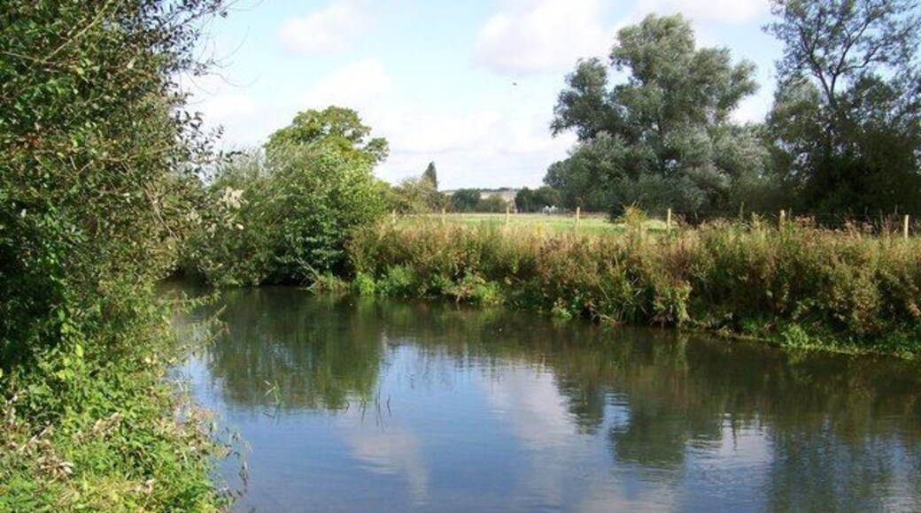 River Wylye near South Newton The River Wylye contains an excellent stock of mostly wild Brown Trout and Grayling although this is supplemented by some stocking of Brown Trout.
