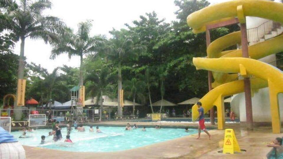 A water park with a large pool, yellow slides, and palm trees.