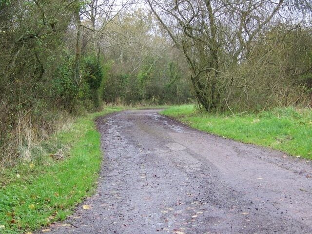 Martha's Lane, The Green The restricted byway of Martha's Lane runs into the Upton Lane as it makes its way to Verne Hill Farm.