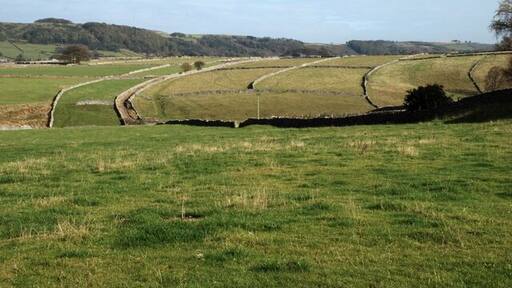 Grassland above Linen Dale