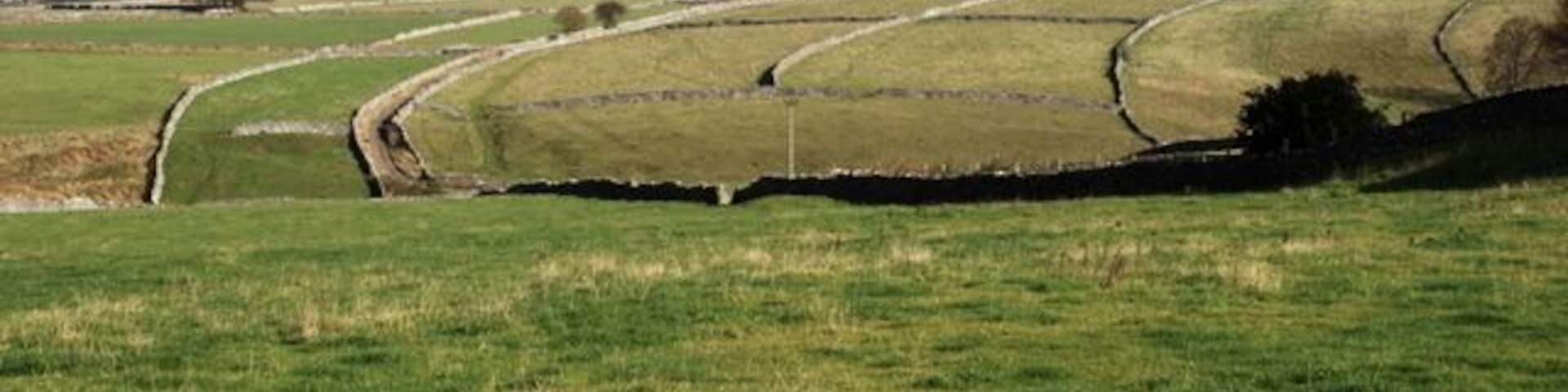 Grassland above Linen Dale