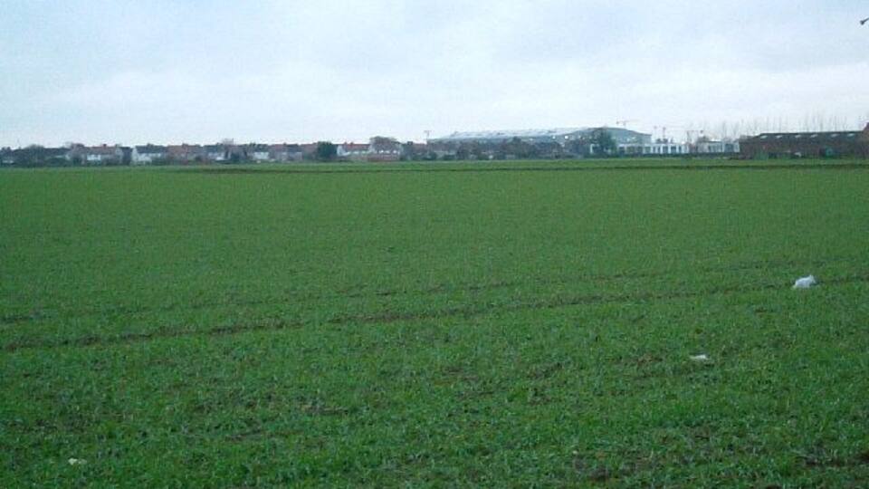 View from Harmondsworth Lane. Looking south west. New Heathrow Terminal 5 building in distance.