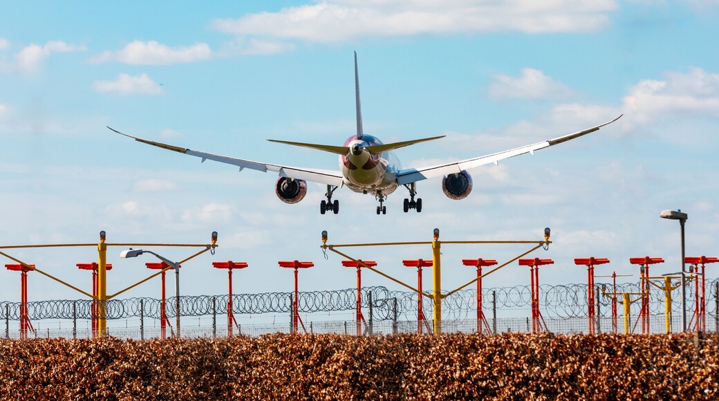 ํ๋ชฌ์ค์์ค