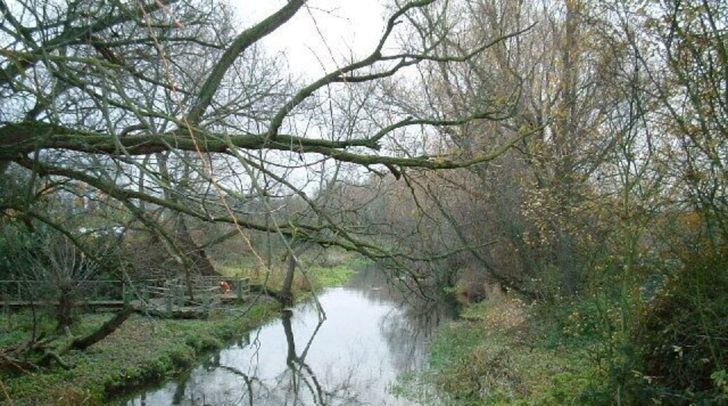 River Colne. One of the many rivers of this name, from the bridge in Accommodation Lane.