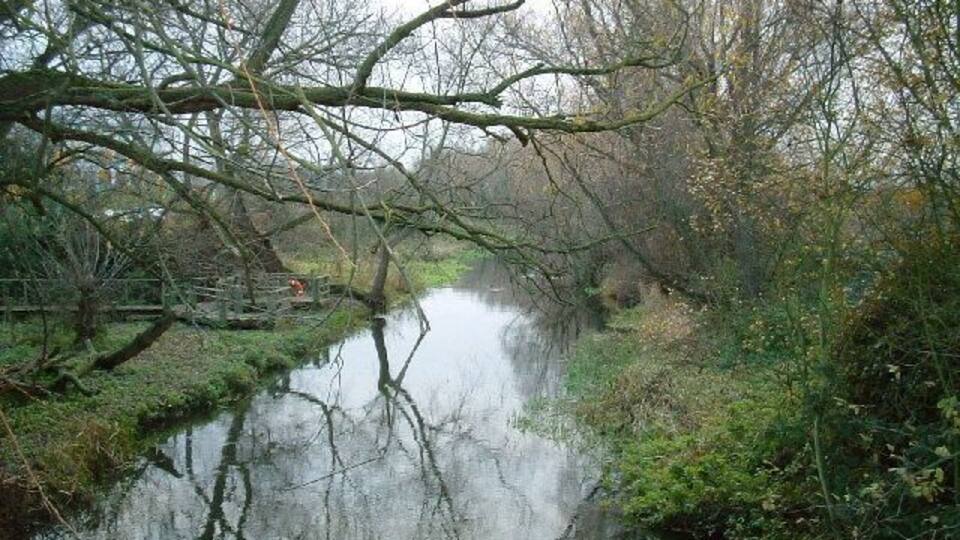River Colne. One of the many rivers of this name, from the bridge in Accommodation Lane.
