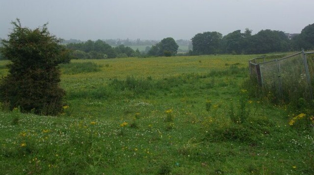 Grazing land near Wyre Hall Farm