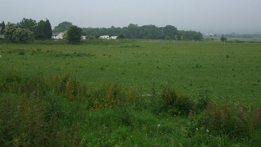 Grazing land towards Wyre Hall Farm