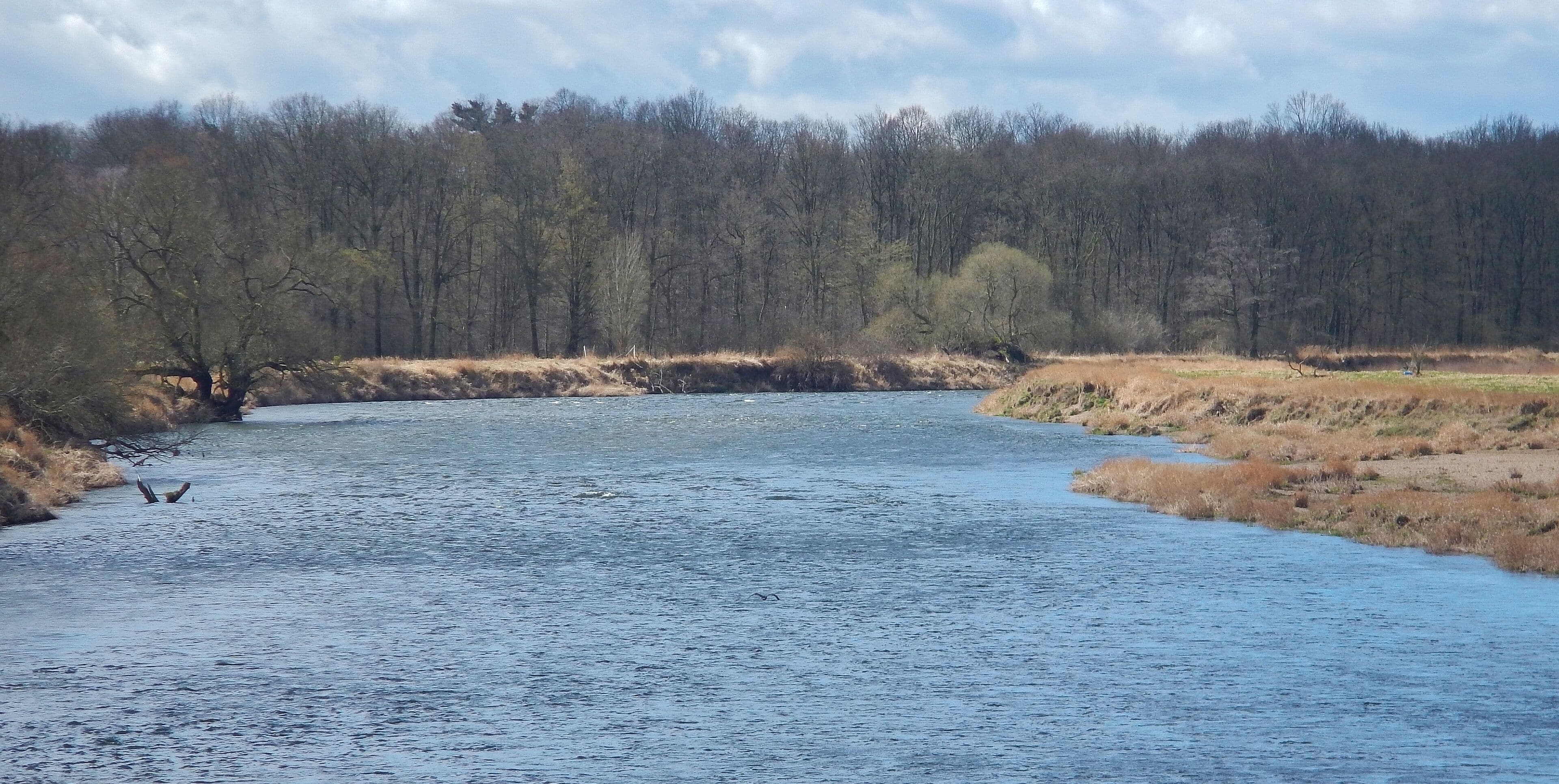 Fluss Mulde bei Dessau