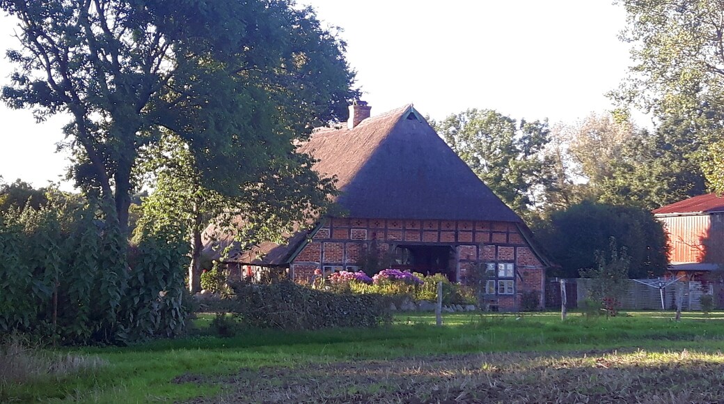 Hallenhaus in Duvennest, Hauptstraße 28 im Landkreis Nordwestmecklenburg, Amt Schönberger Land, Gemeinde Lüdersdorf