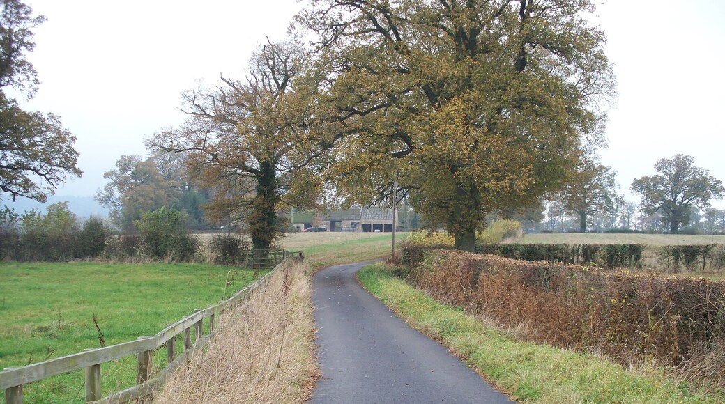 Upper Rye Farm Buildings The path from Bourton-on-the-Hill to Longborough joins the driveway to Upper Rye Farm. This is the view looking north to Upper Rye Farm Buildings seen through the trees. Upper Rye Farm itself is south of this spot.