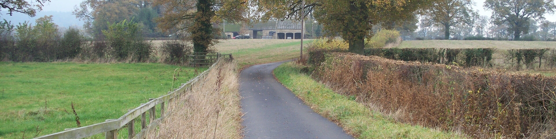 A narrow rural road flanked by hedgerows and trees, leading towards a distant building.