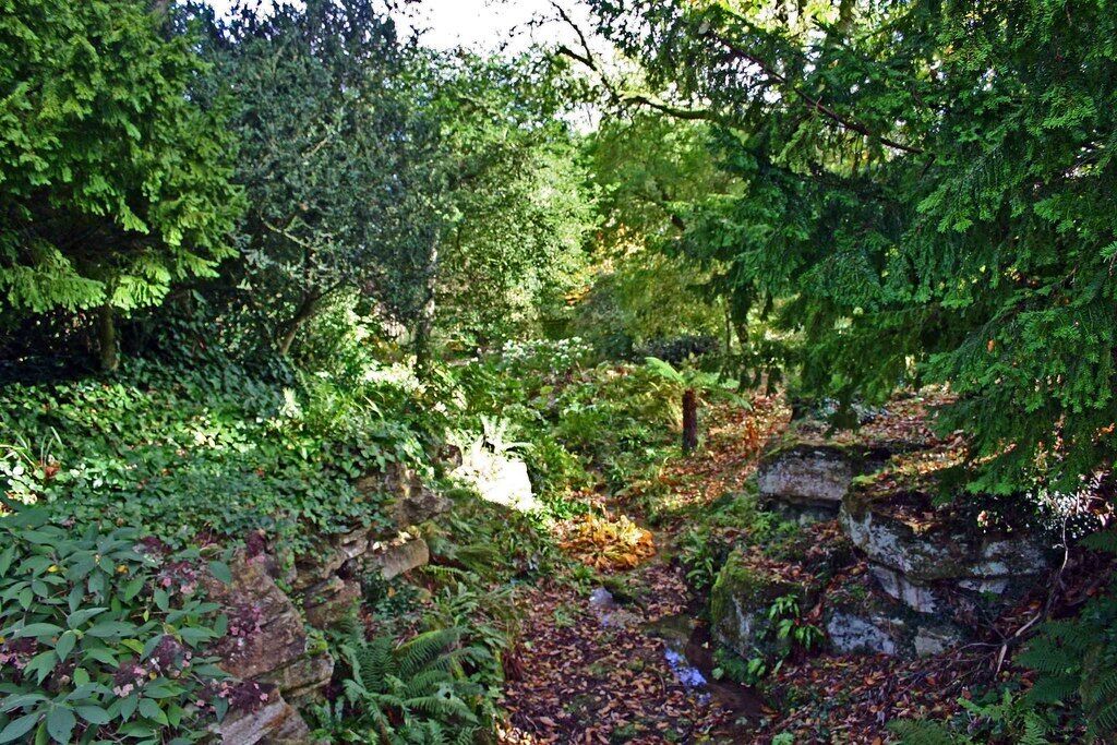 Batsford Arboretum - small pool, Batsford, Glos. There is a small pool here but it is virtually hidden by vegetation and fallen leaves.