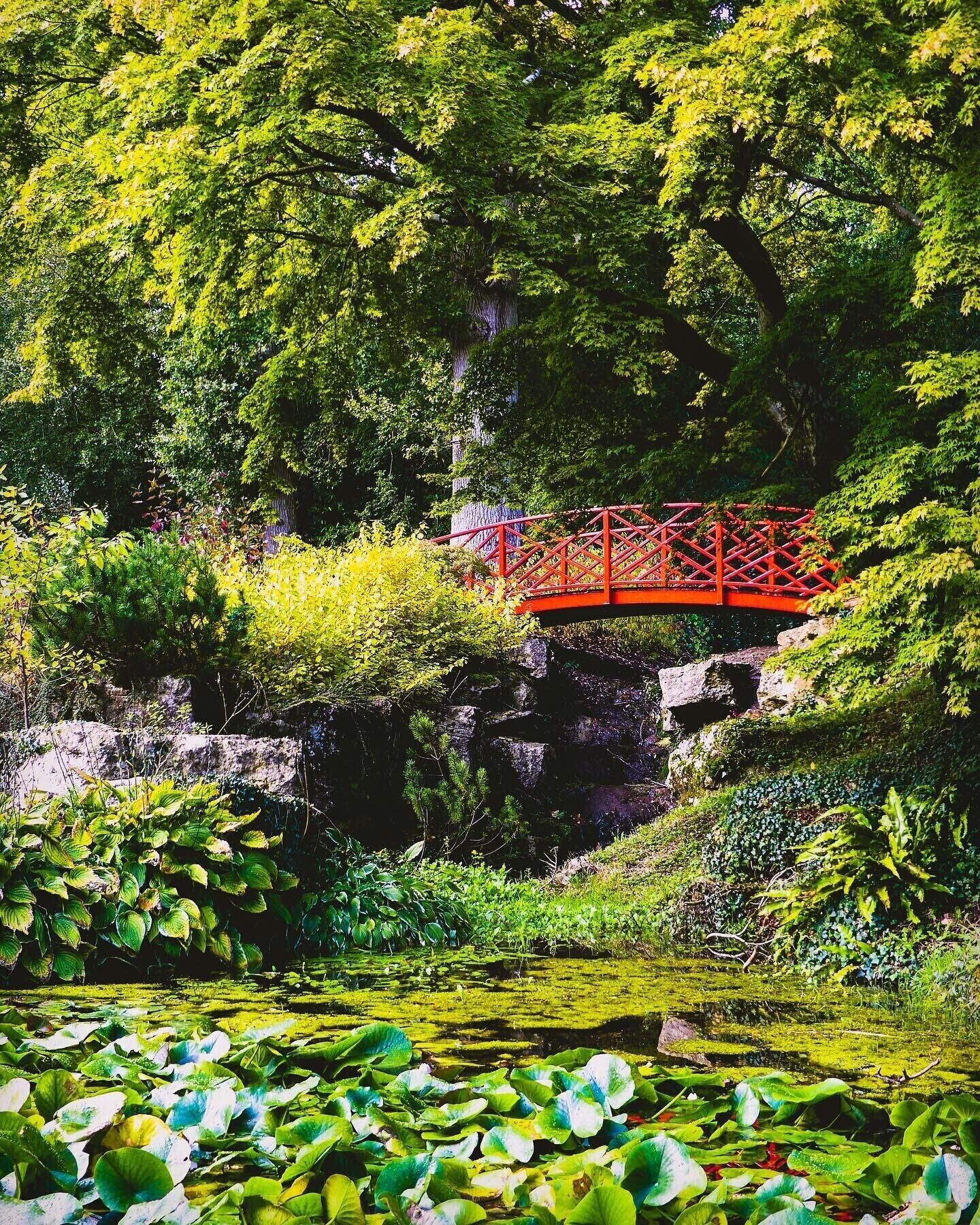 A beautiful place to visit if you want to escape from busy urban life. This small arboretum is filled with hidden gems that make the perfect photos! Just be aware that on weekends, especially during Spring and Autumn, this place will get busy.