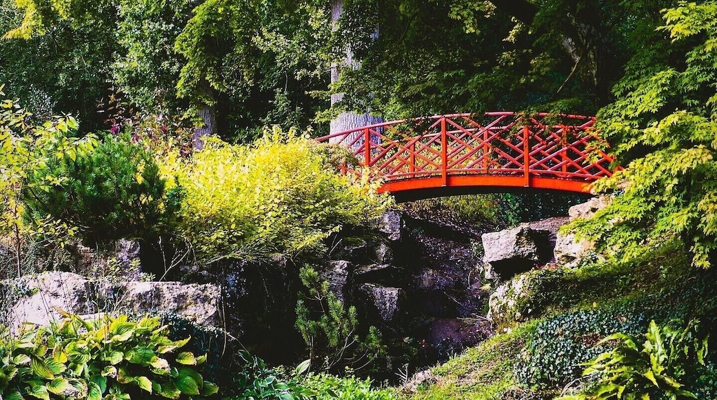 A beautiful place to visit if you want to escape from busy urban life. This small arboretum is filled with hidden gems that make the perfect photos! Just be aware that on weekends, especially during Spring and Autumn, this place will get busy.