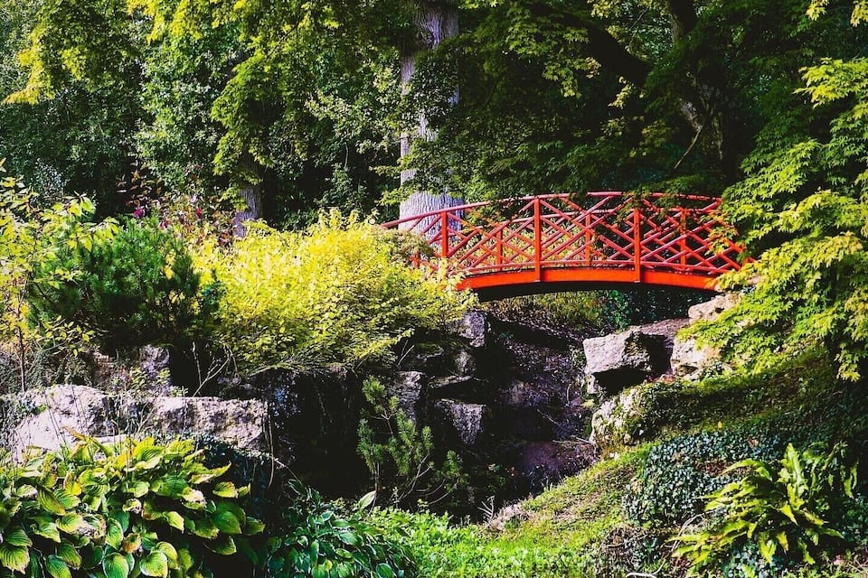 Un puente rojo sobre un estanque rodeado de vegetación exuberante y rocas.