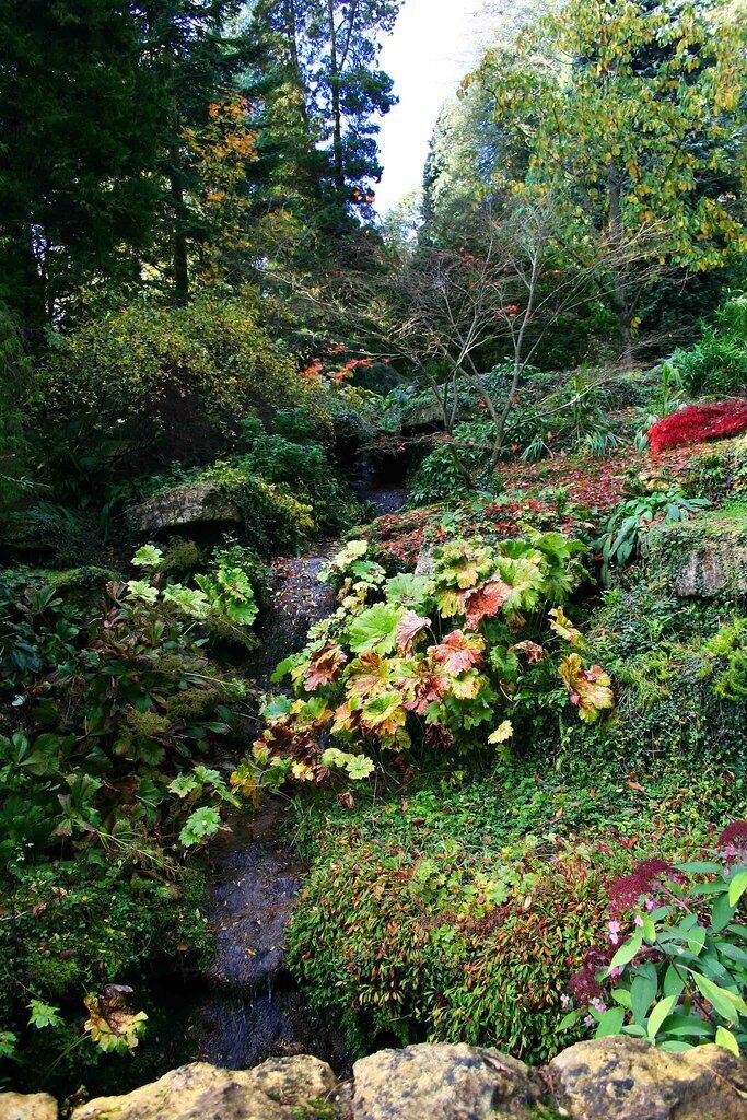 Batsford Arboretum - stream in rock garden, Batsford, Glos. A small stream descends this rock garden into a pool below.