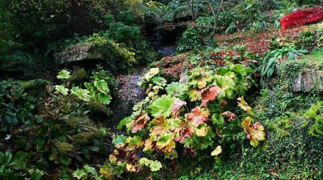 Batsford Arboretum - stream in rock garden, Batsford, Glos. A small stream descends this rock garden into a pool below.