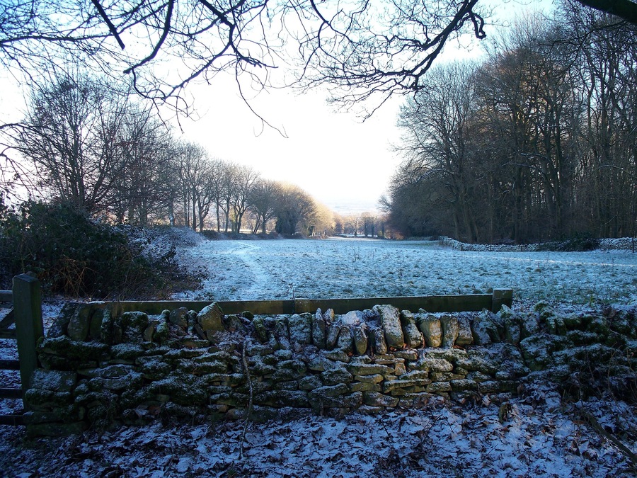 Long narrow field Emerging from the woods, the footpath passes through this long narrow field. The field is approximately 560 yards long but only some 45 yards wide.
