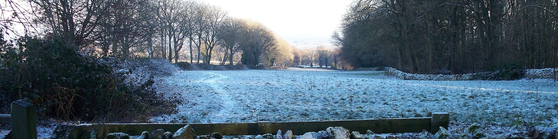 Long narrow field Emerging from the woods, the footpath passes through this long narrow field. The field is approximately 560 yards long but only some 45 yards wide.