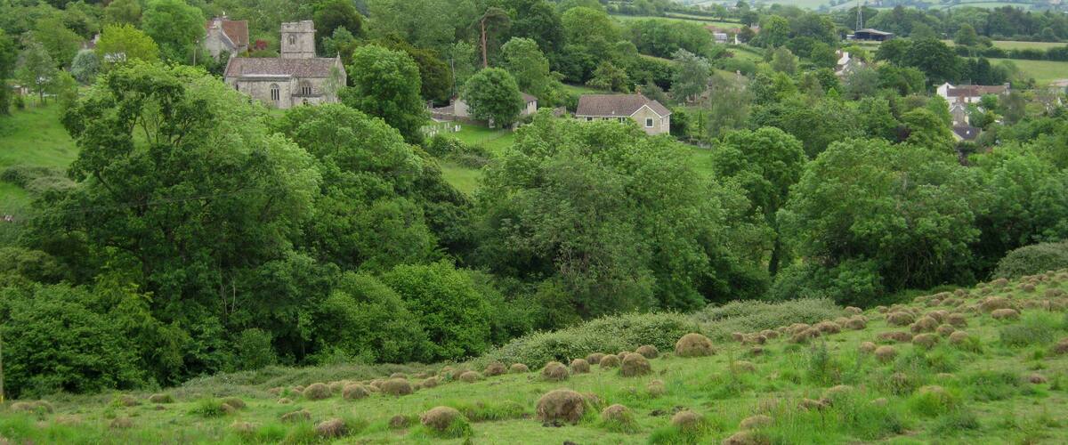 Butcombe.