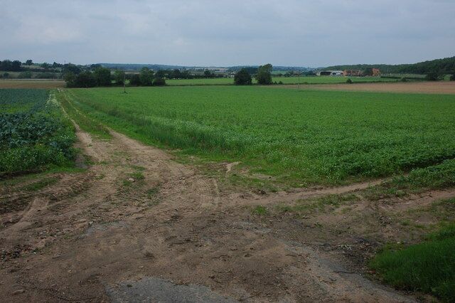 Lower Farm near Birlingham Lower Farm and surrounding market garden land viewed from the A4104. Tiddesley Wood is on the right.