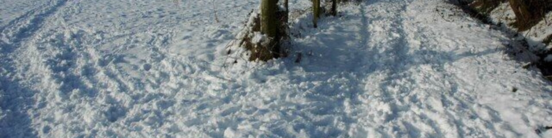 Un sendero cubierto de nieve con una valla y árboles.