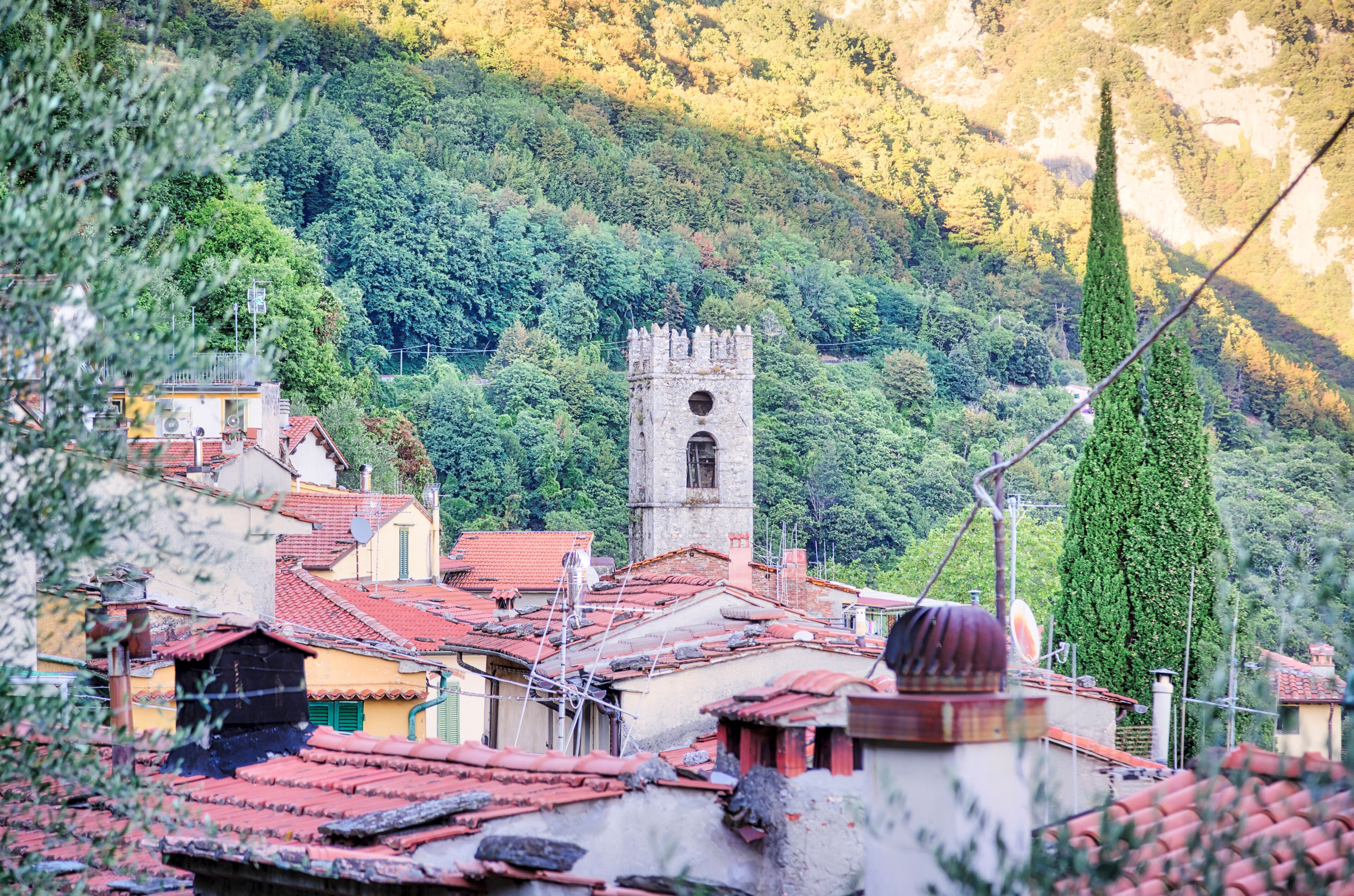 A town with red-roofed buildings, a tower with a clock, and a forested hillside.