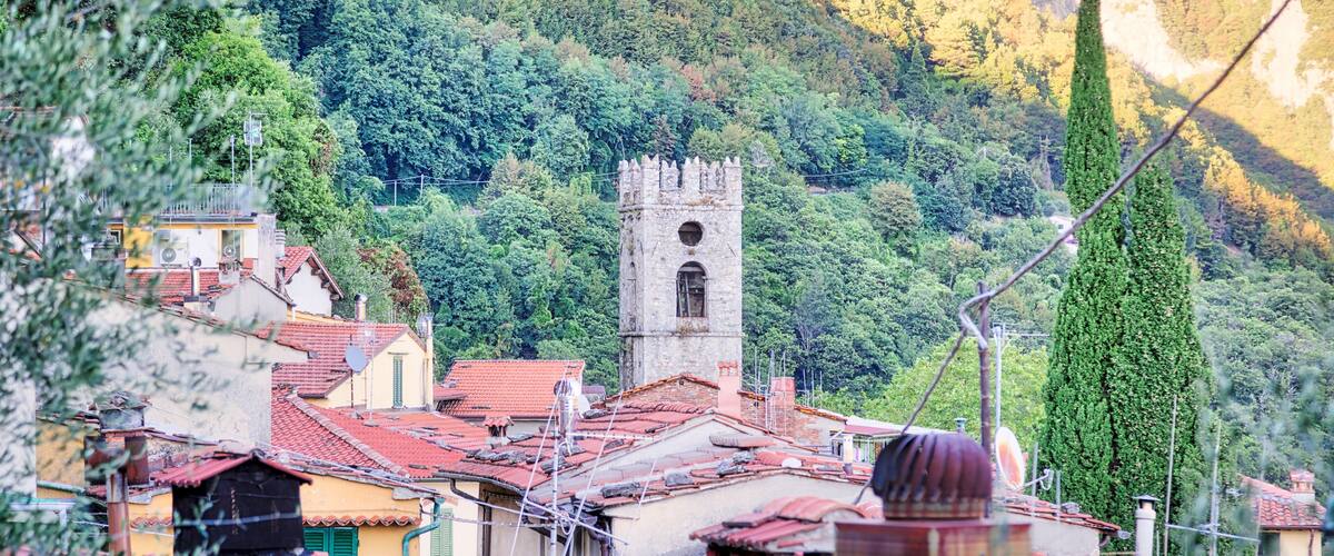 A town with red-roofed buildings, a tower with a clock, and a forested hillside.