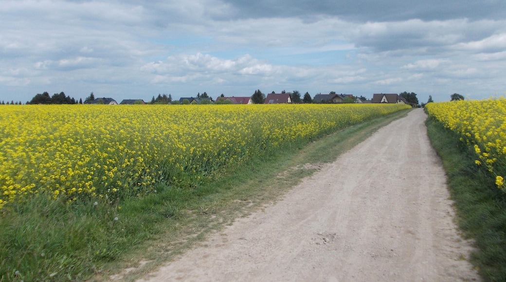Rödgen (Weissenfels, district: Burgenlandkreis, Saxony-Anhalt) from the west