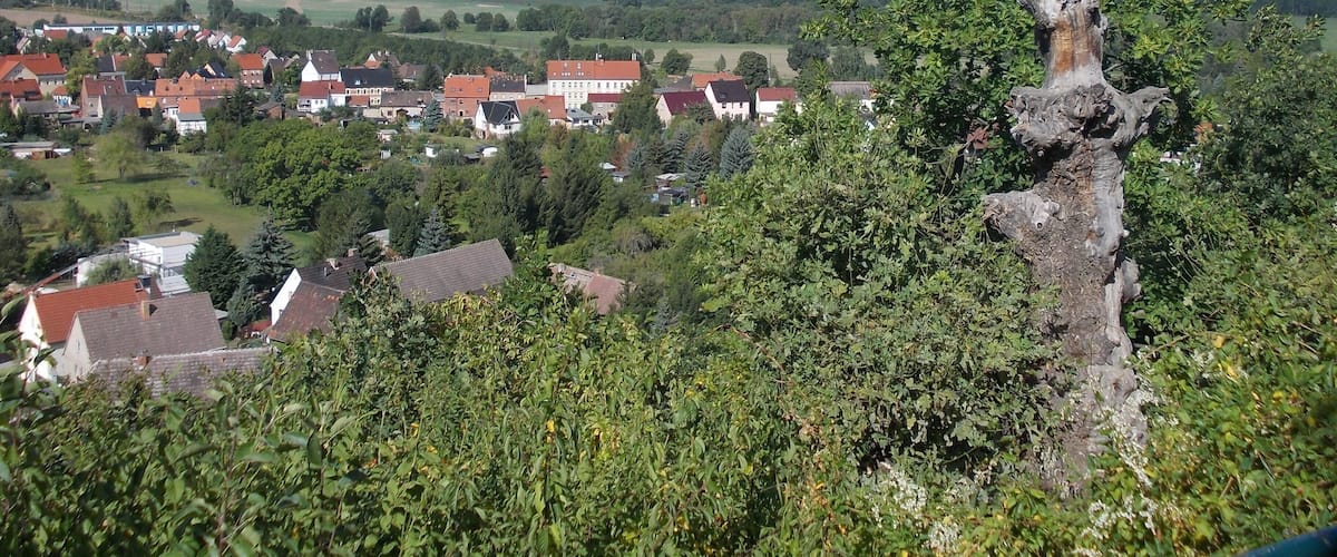 View of Leissling (Weissenfels, district: Burgenlandkreis, Saxony-Anhalt) from the vantage point at the old oak