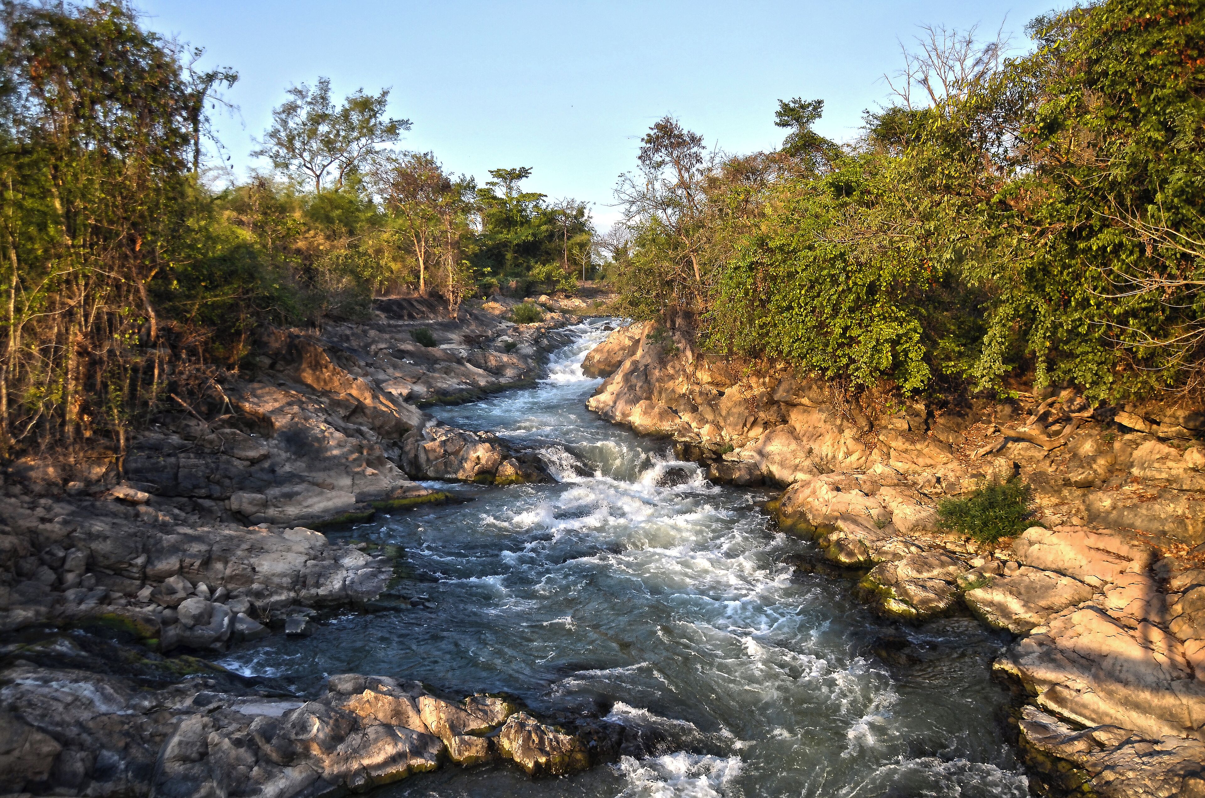 A rocky river with flowing water surrounded by dense trees.
