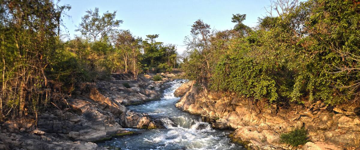 A rocky river with flowing water surrounded by dense trees.