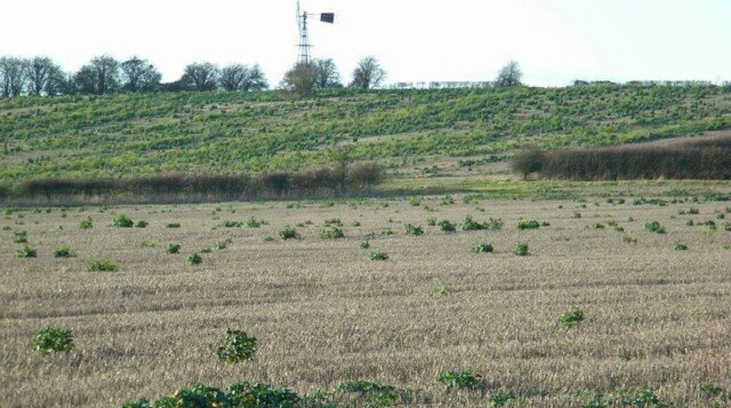Windpump On the brow of the hill near Rowborough Farm (and visible from the nearby A429) stands this wind pump.