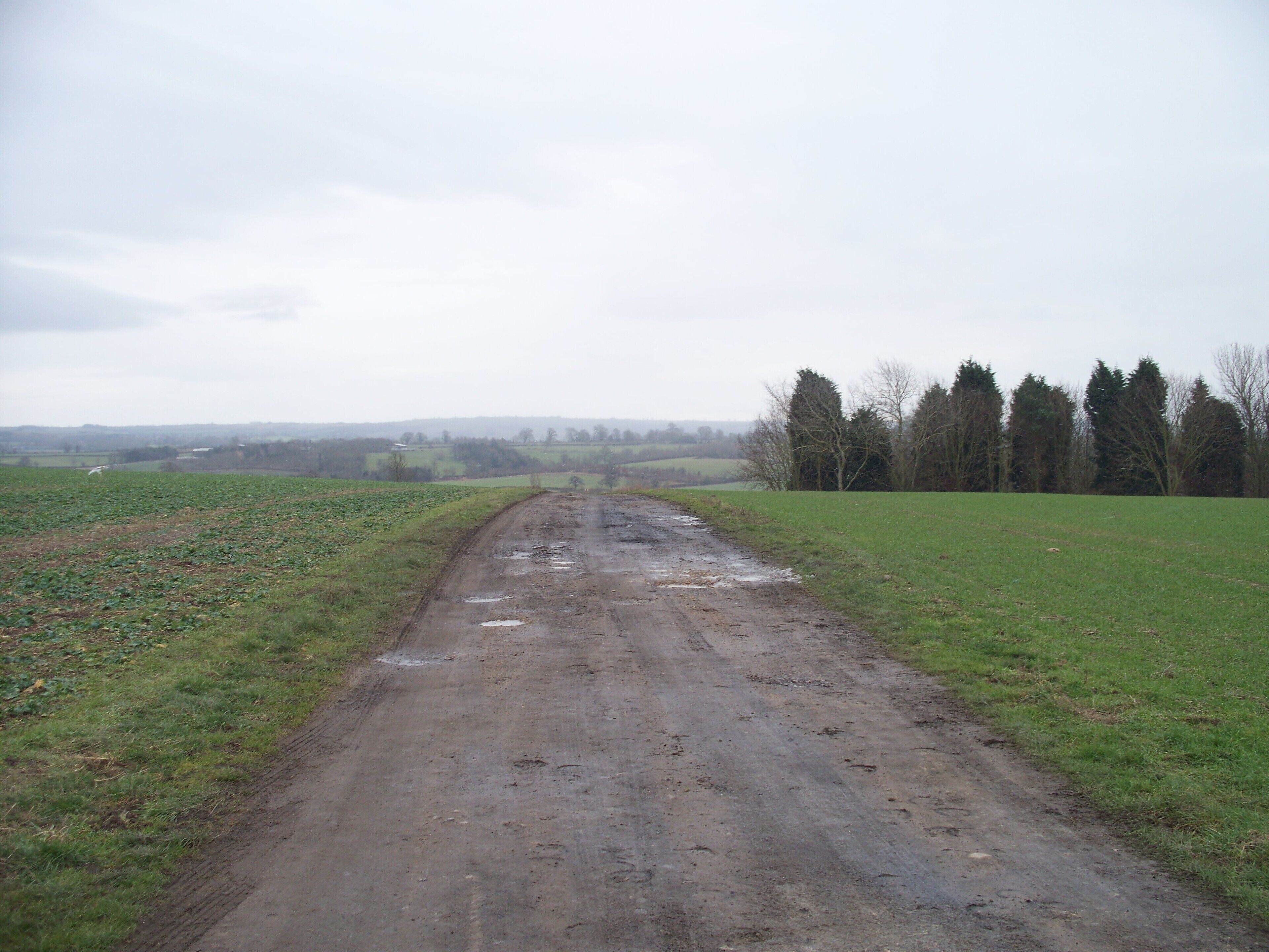 Top of the hill The track crests the hill on its way to Ditchford Frary from Ditchford Cottages. The line of the bridleway is still some 60 yards away to the left.