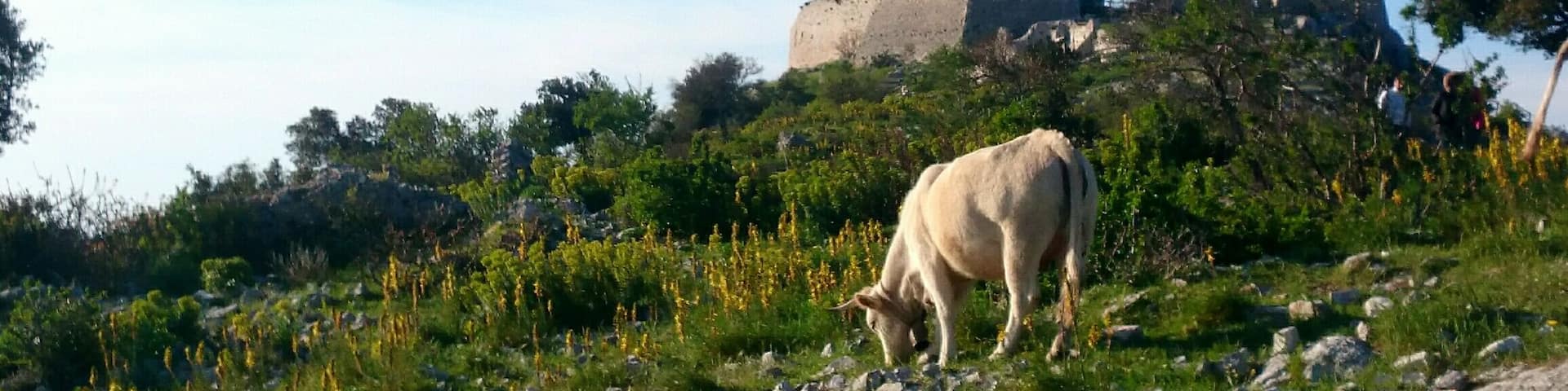Castelpagano, alone in stunning #nature's #Gargano #NationalPark