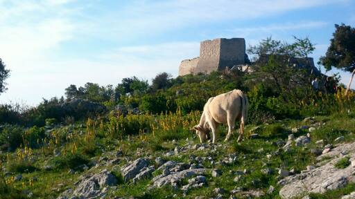Castelpagano, alone in stunning #nature's #Gargano #NationalPark