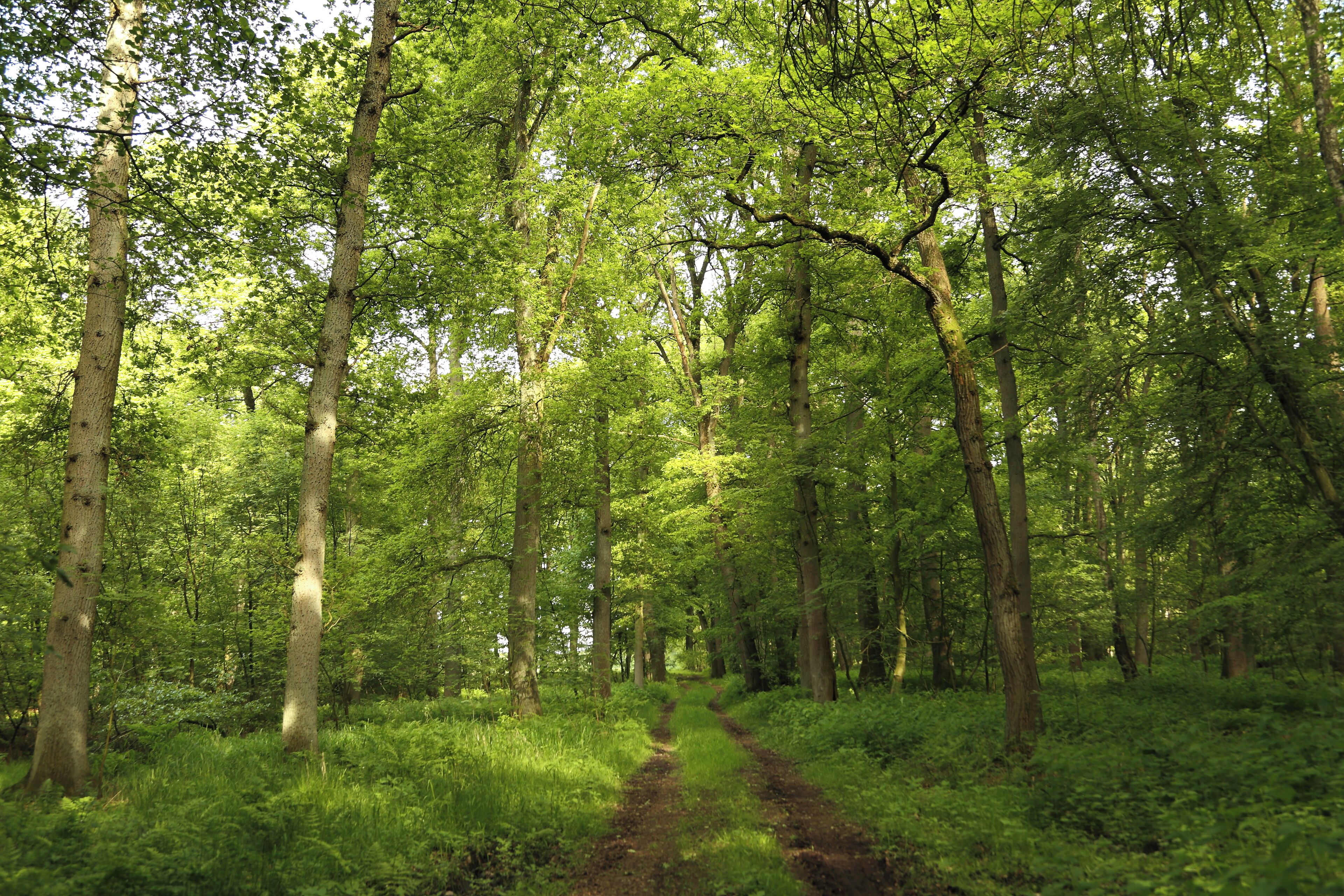 This is a picture of the protected area listed at WDPA under the ID