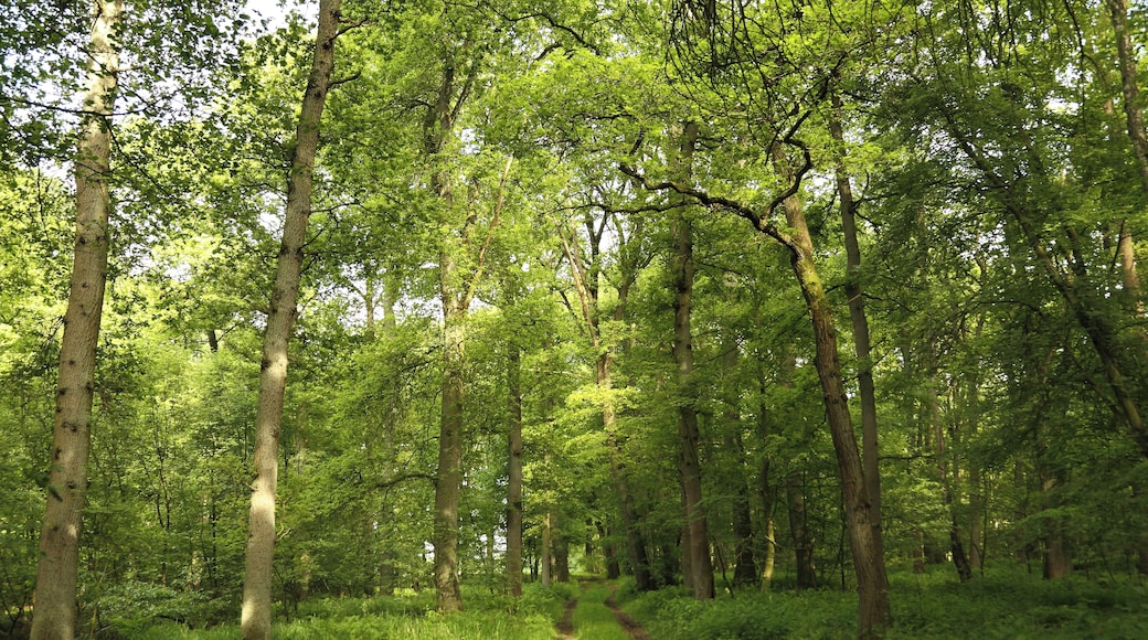 This is a picture of the protected area listed at WDPA under the ID