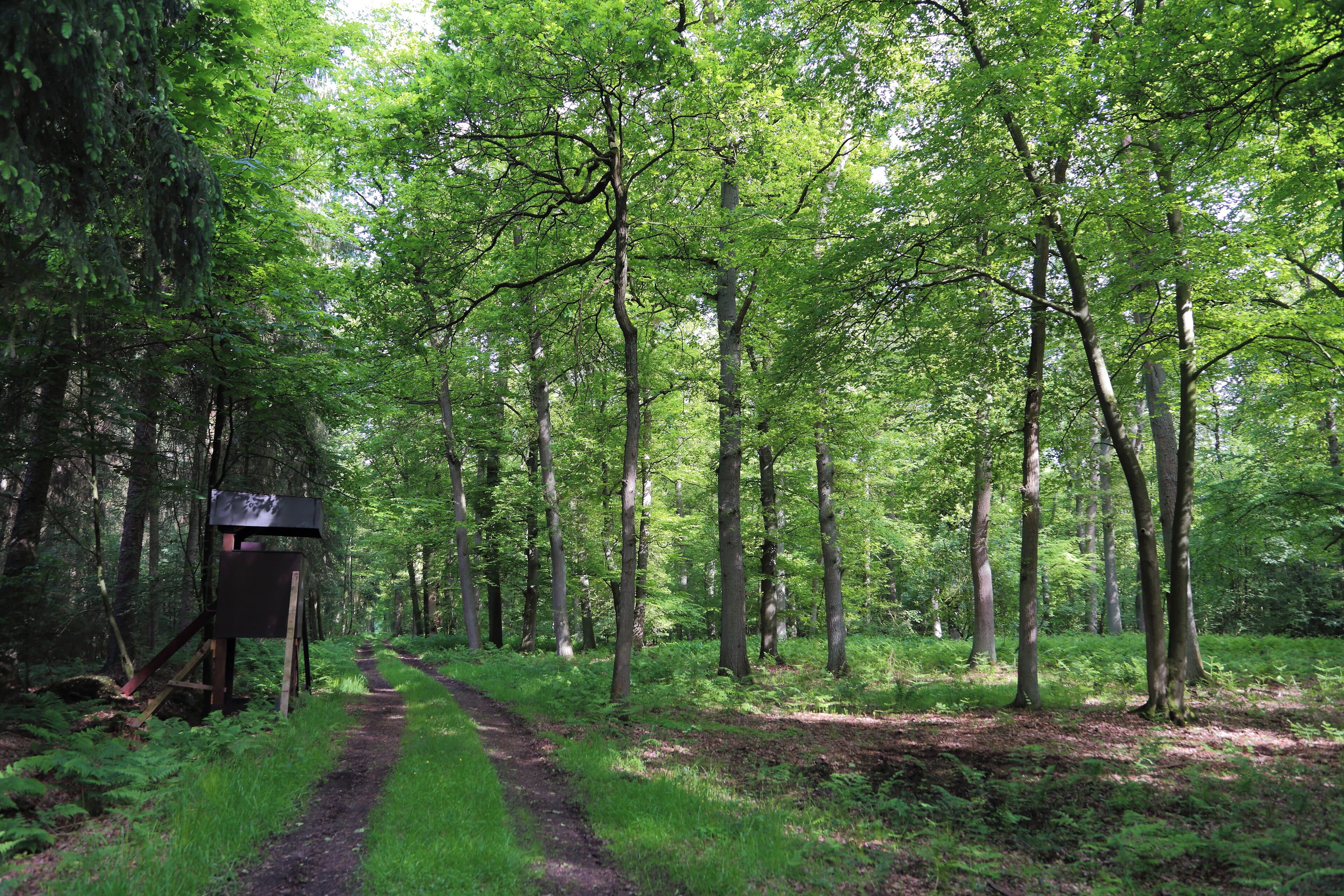 This is a picture of the protected area listed at WDPA under the ID